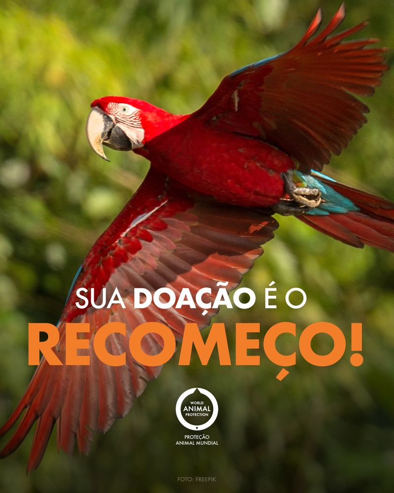 Redes e mídia, mês a mês